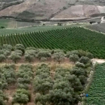 vallezoom